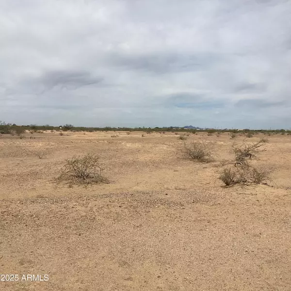 Wittmann, AZ 85361,221 W Dove Wing Way #0