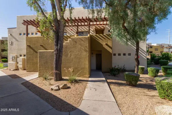 Phoenix, AZ 85042,3434 E BASELINE Road #126