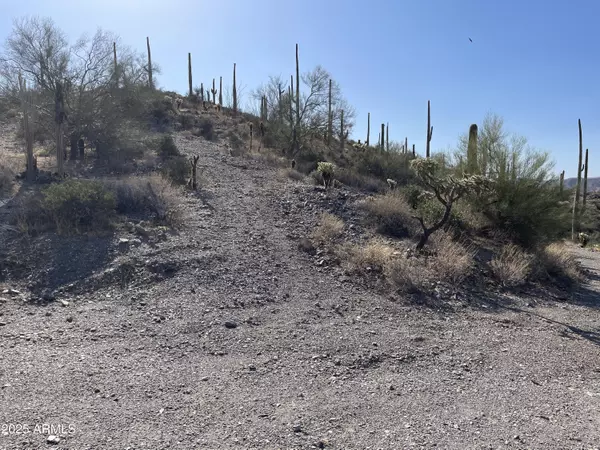 Queen Valley, AZ 85118,3246 N Silver Tip Trail #4