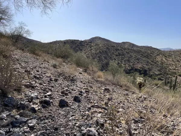 Queen Valley, AZ 85118,3246 N Silver Tip Trail #4