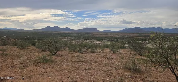 Huachuca City, AZ 85616,547 S Lonely Dove Lane #12
