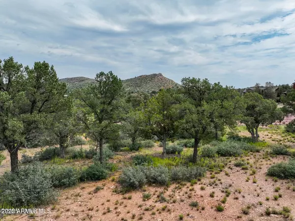 Prescott, AZ 86305,15777 N LUCY Lane #V