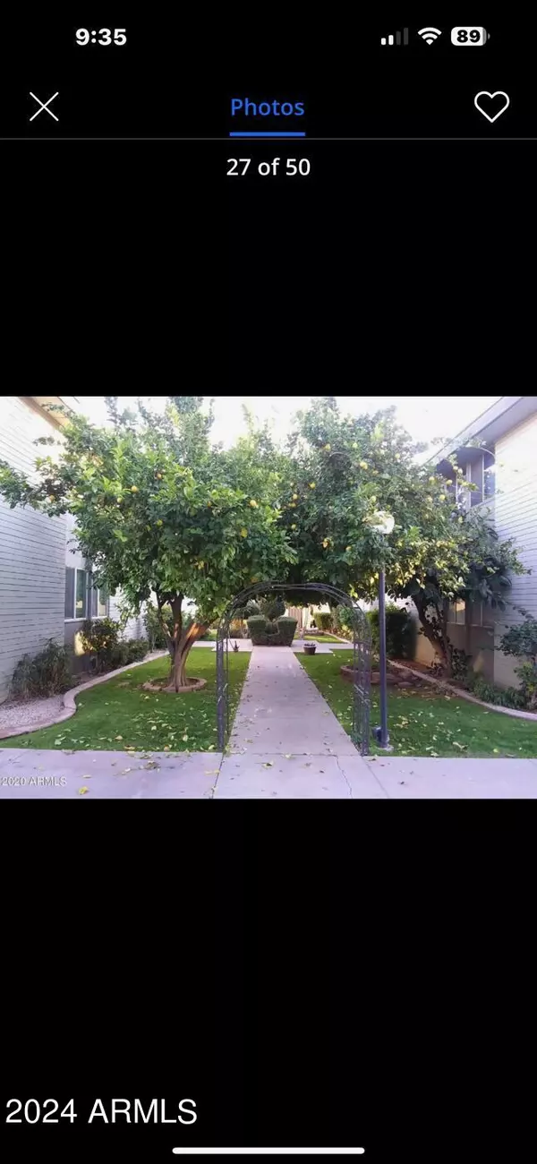Phoenix, AZ 85014,6767 N 7TH Street #227