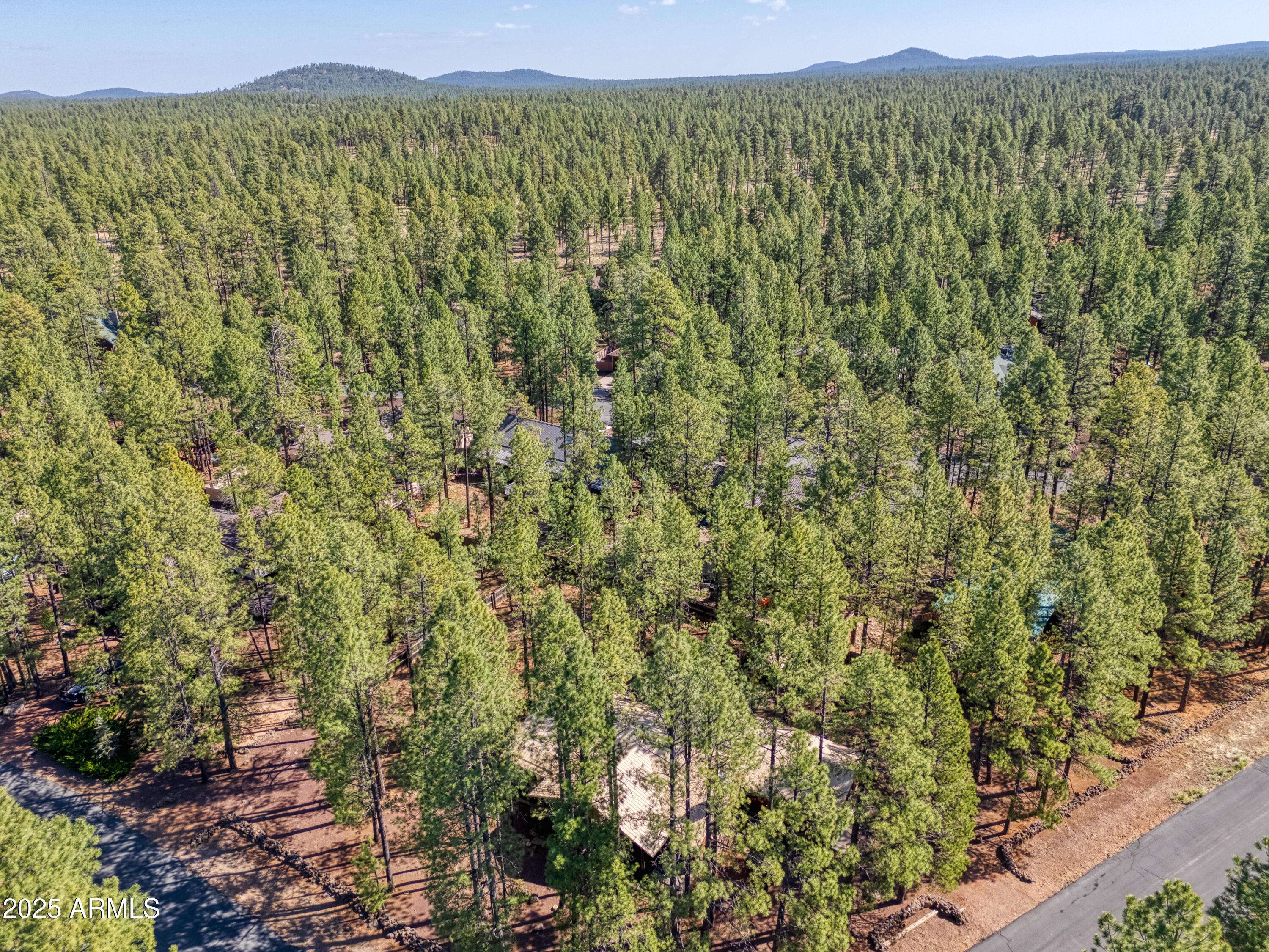 Pinetop, AZ 85935,2724 BLUE LAKE Circle