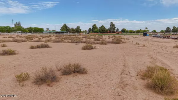Eloy, AZ 85131,0 E Buchanon Pl 5 acres -- #-