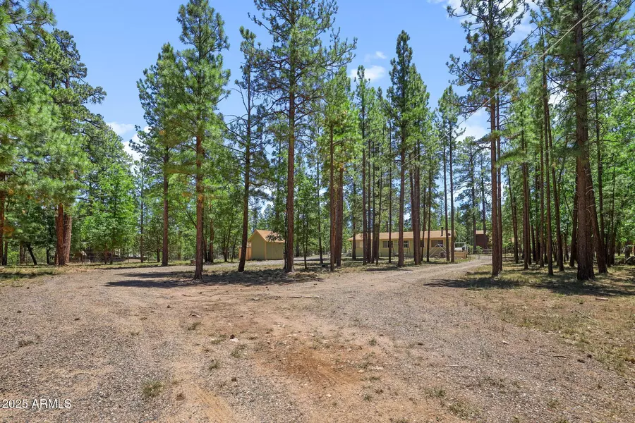 646 REATA PASS --, Happy Jack, AZ 86024