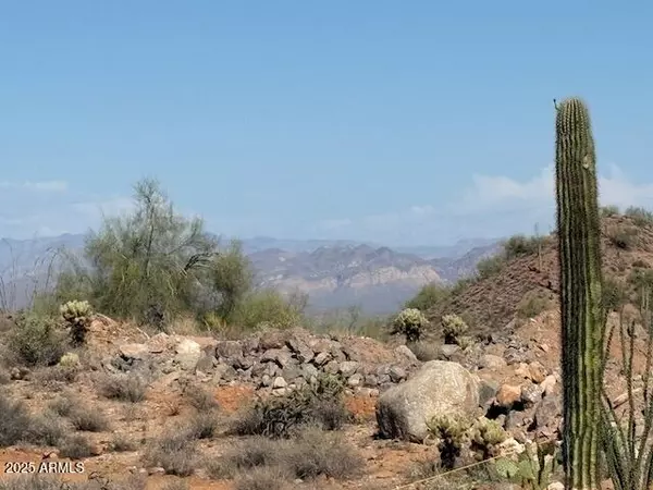 Scottsdale, AZ 85259,14303 E Davenport Drive #5