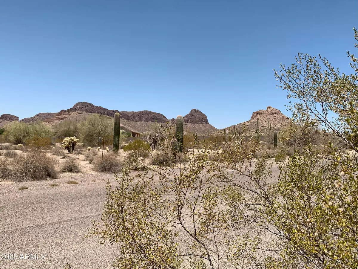 San Tan Valley, AZ 85144,0 N Donnaloy Road #1