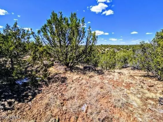 Show Low, AZ 85901,8546 SILVER CREEK Drive #44