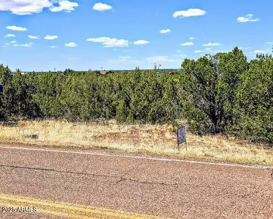 Show Low, AZ 85901,8546 SILVER CREEK Drive #44