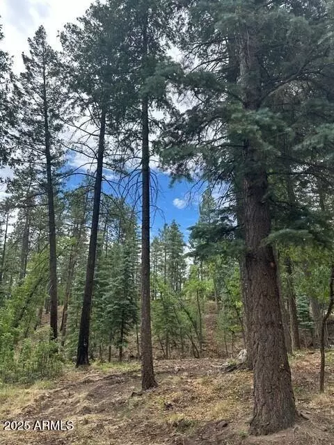 Alpine, AZ 85920,2076 Buttermilk ln -- #10171052