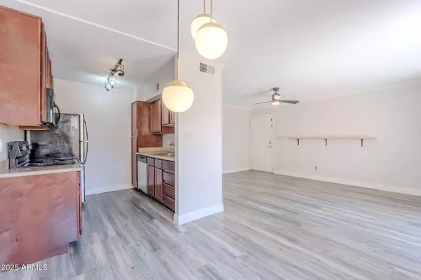 Scottsdale, AZ 85251,3500 N Hayden Road #2103
