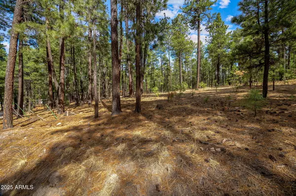 Alpine, AZ 85920,CR2325 -- #-