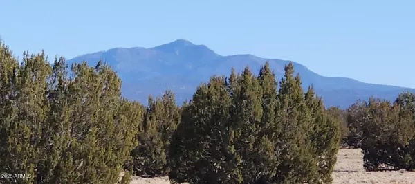 Ash Fork, AZ 86320,223 Picacho Butte Drive #223
