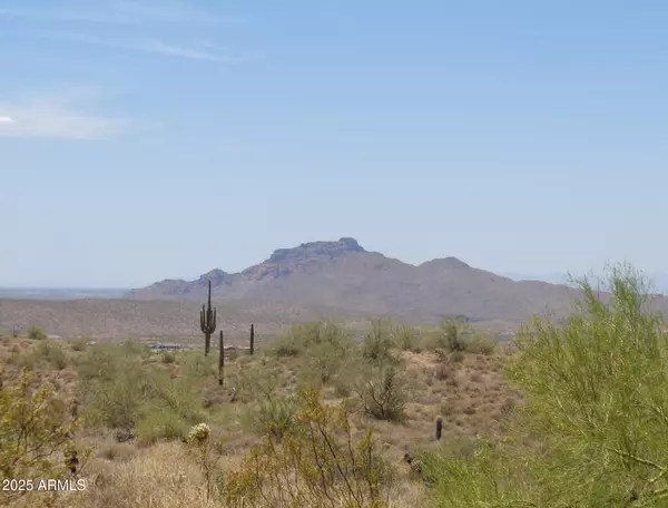 Fort Mcdowell, AZ 85264,9 N Ambush Lane N #9-N