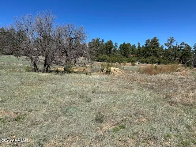 Show Low, AZ 85901,1301 S Lakeside Trail #33