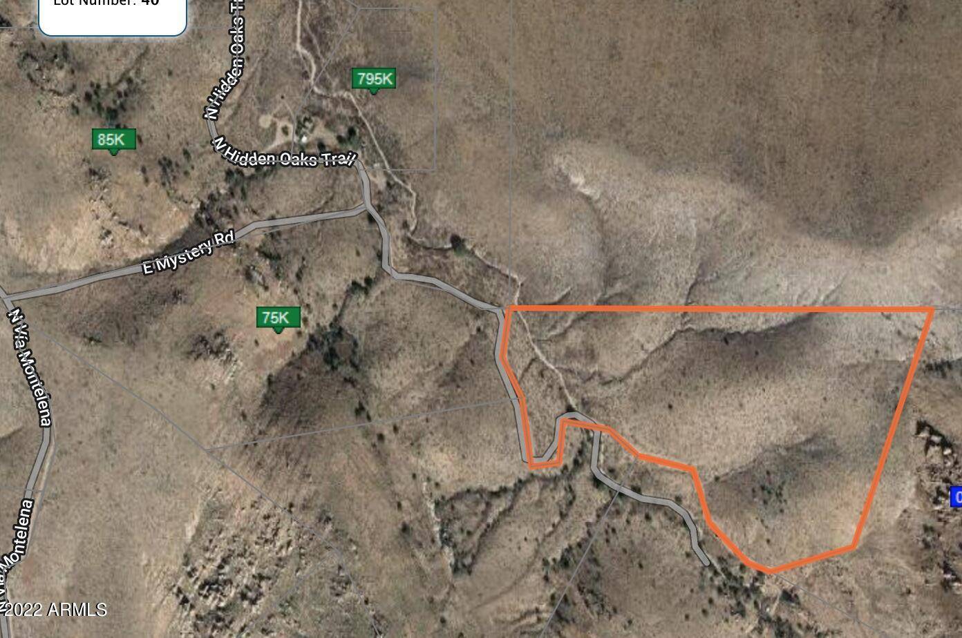 Douglas, AZ 85607,42 N Hidden Oaks Trail 39 acres -- #42