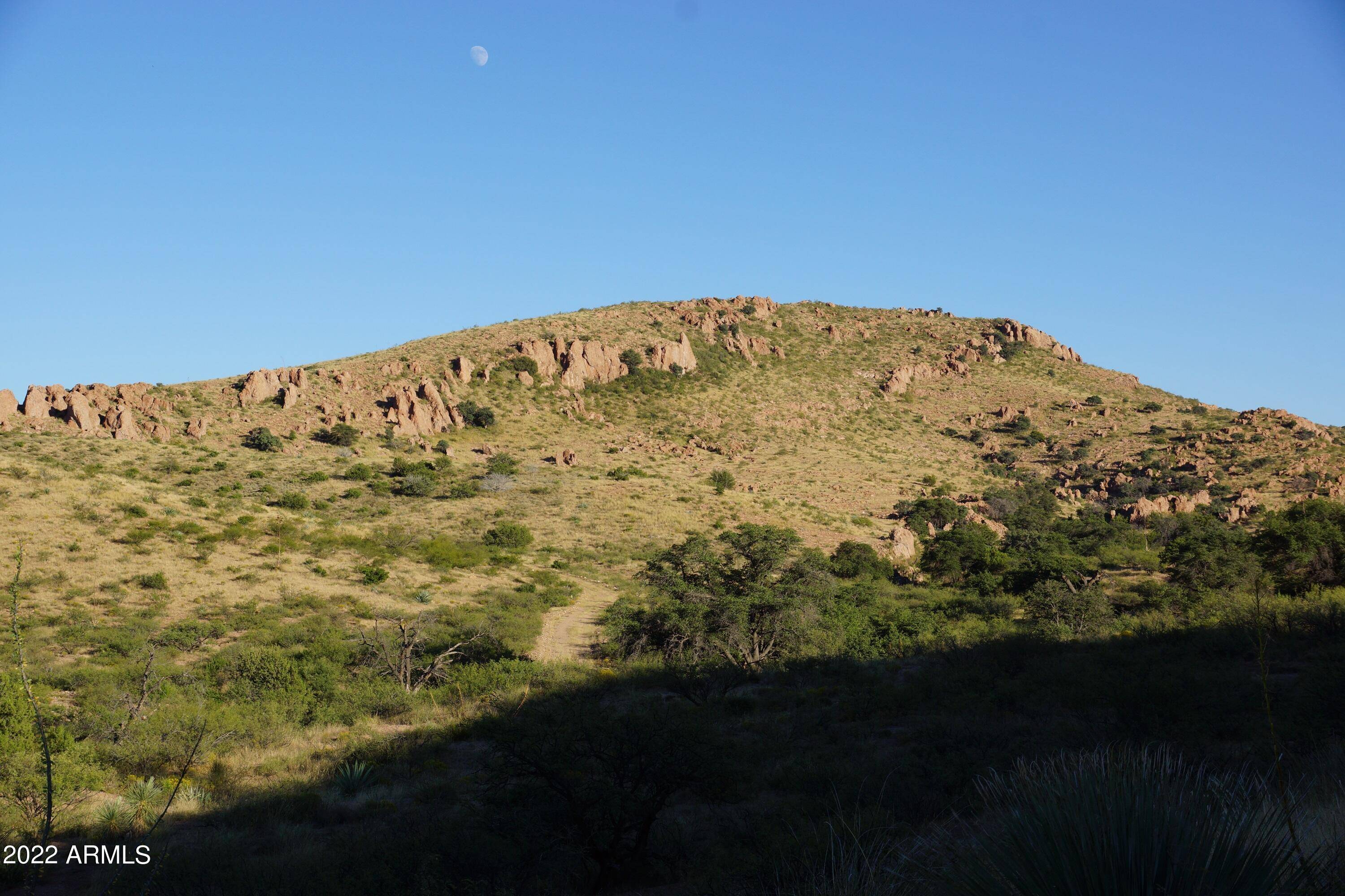 Douglas, AZ 85607,42 N Hidden Oaks Trail 39 acres -- #42