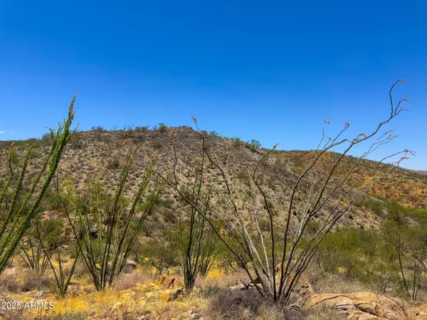 Vail, AZ 85641,N Sonoita Hwy 10.04 Acres -- #-