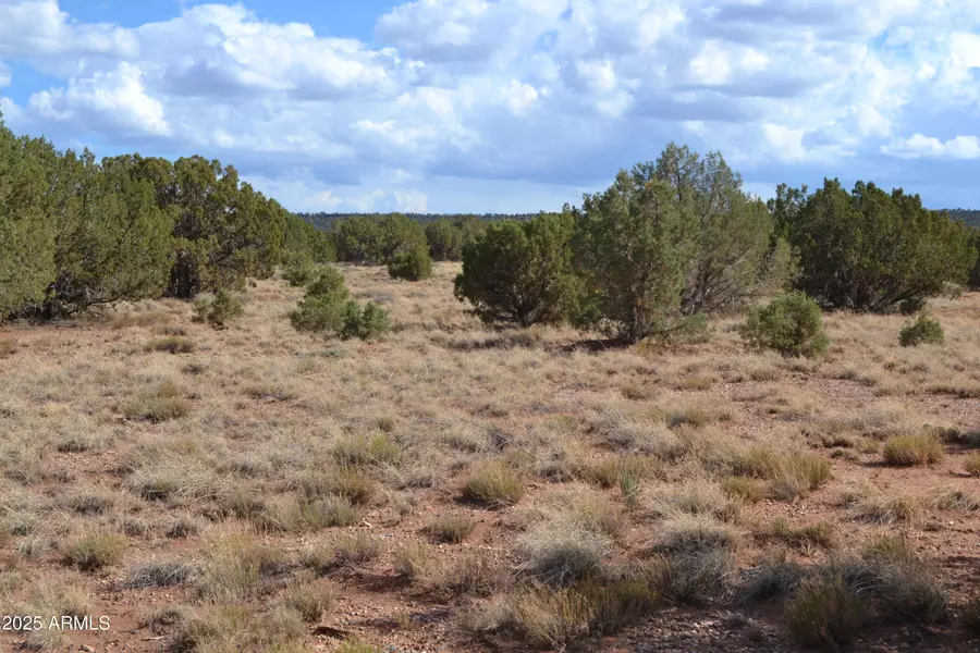 4161 Colt Road #273, Snowflake, AZ 85937