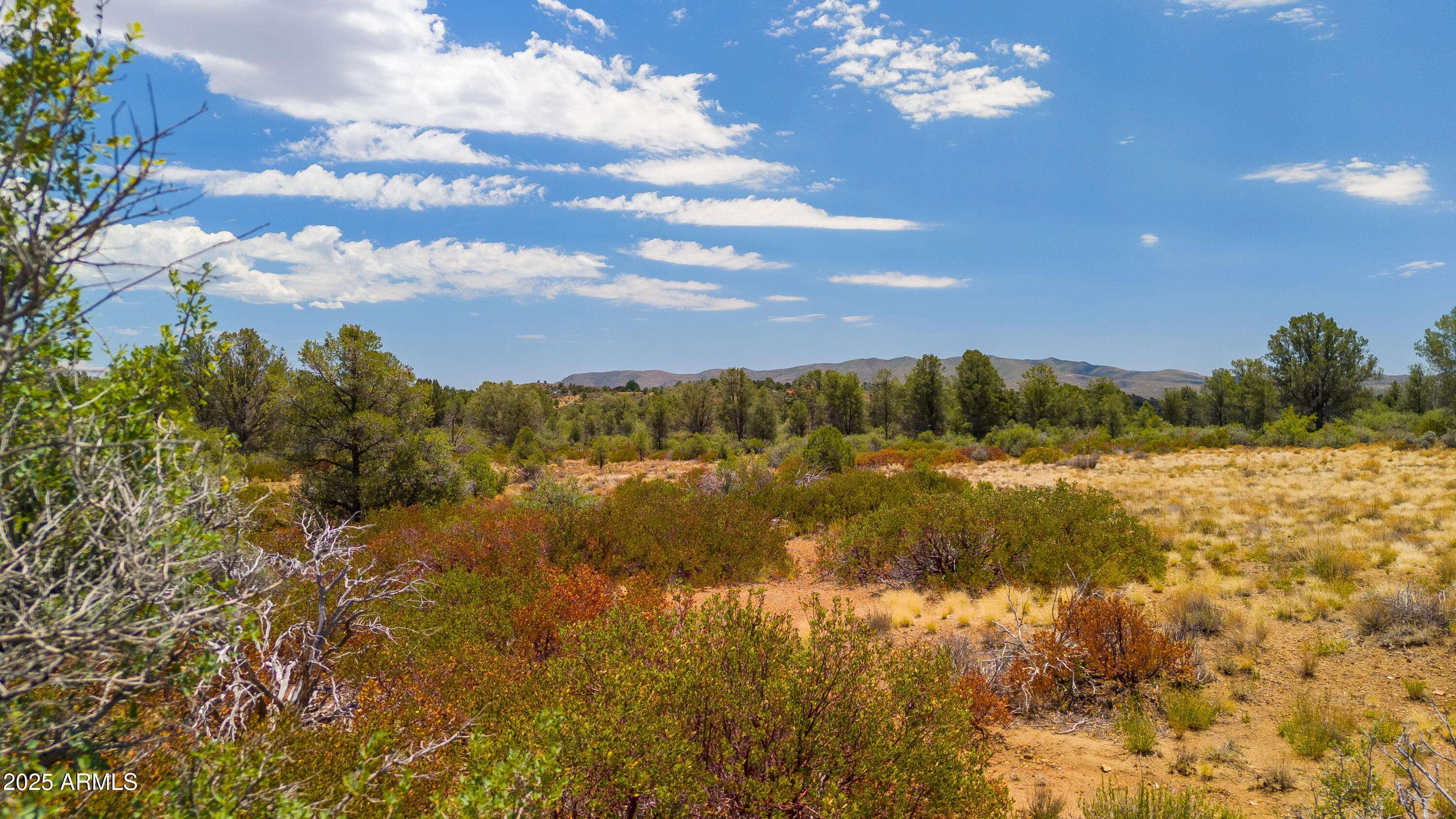 Peeples Valley, AZ 86332,43 Blue Sky Drive #U