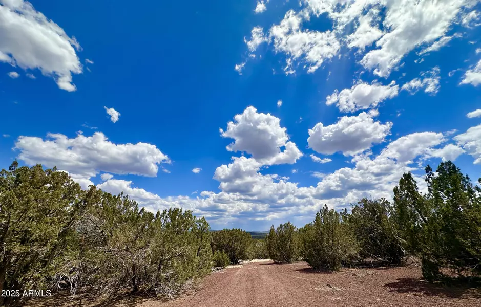 County Rd N8157 -- #-, Concho, AZ 85924
