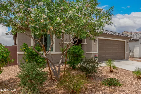 Surprise, AZ 85387,25428 N 163RD Drive