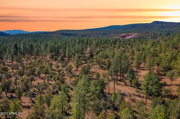 0 Fawn Drive #5, Pine, AZ 85544