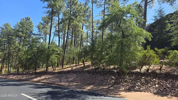 Payson, AZ 85541,401 N Grapevine Drive #525
