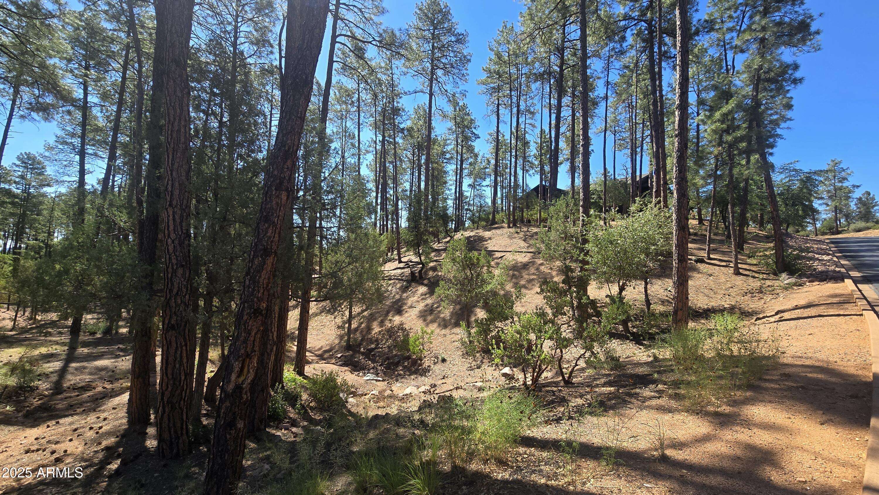 Payson, AZ 85541,401 N Grapevine Drive #525