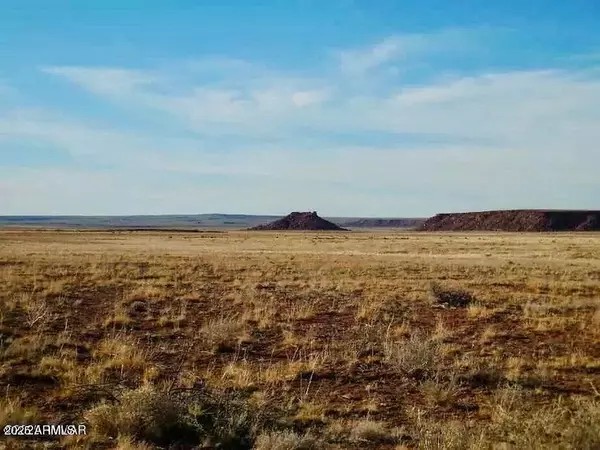 Chambers, AZ 86502,15 Co Rd N7284 40 Acres -- #-