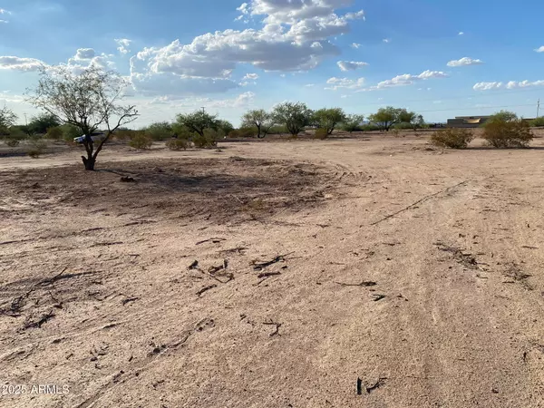 Eloy, AZ 85131,4115 N VALLEY Drive #2