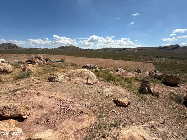 Douglas, AZ 85607,0 E Jack Rabbit Trail #9