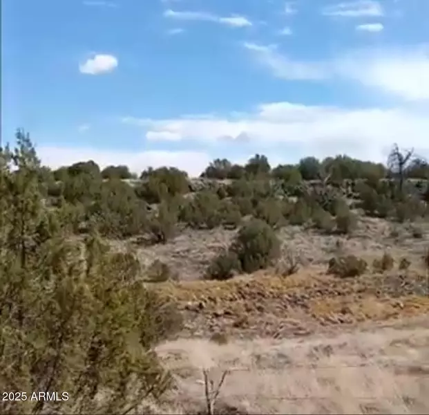8594 BOBCAT Drive #1, Show Low, AZ 85901