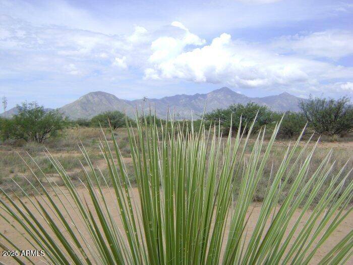 0 E Cactus Ranch Road #16F, Hereford, AZ 85615