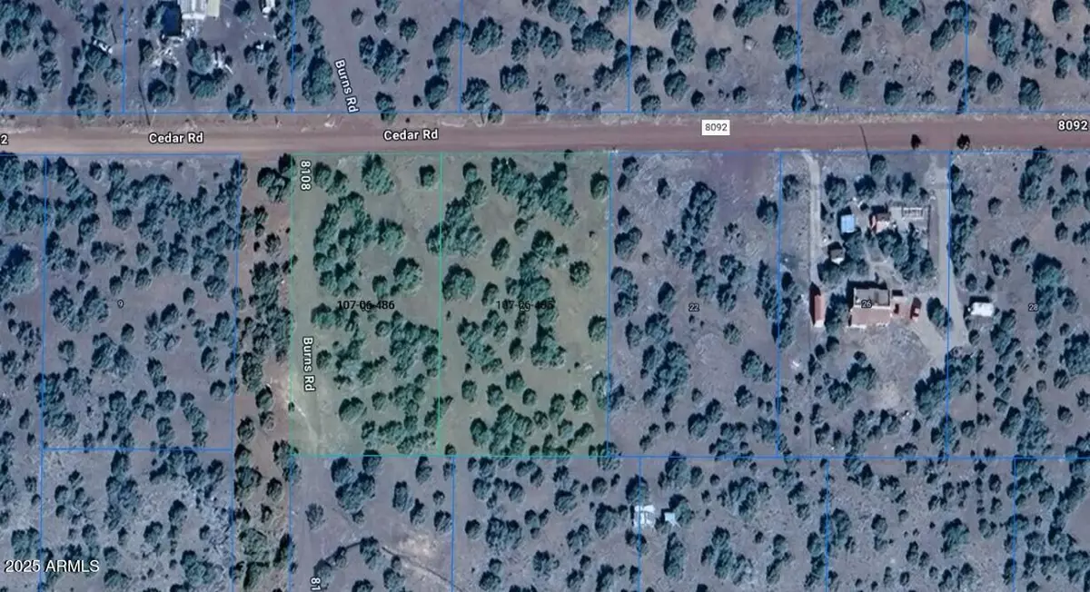Concho, AZ 85924,16 and 20 County Road 8092 -- #485