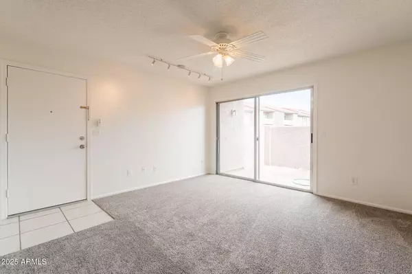 Mesa, AZ 85210,623 W GUADALUPE Road #171