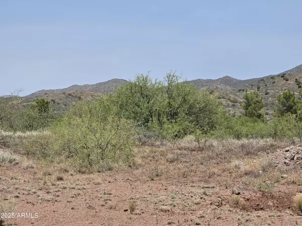 Mayer, AZ 86333,12280 S CABALLO Terrace #350