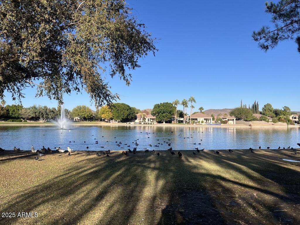 Glendale, AZ 85308,7216 W IRMA Lane