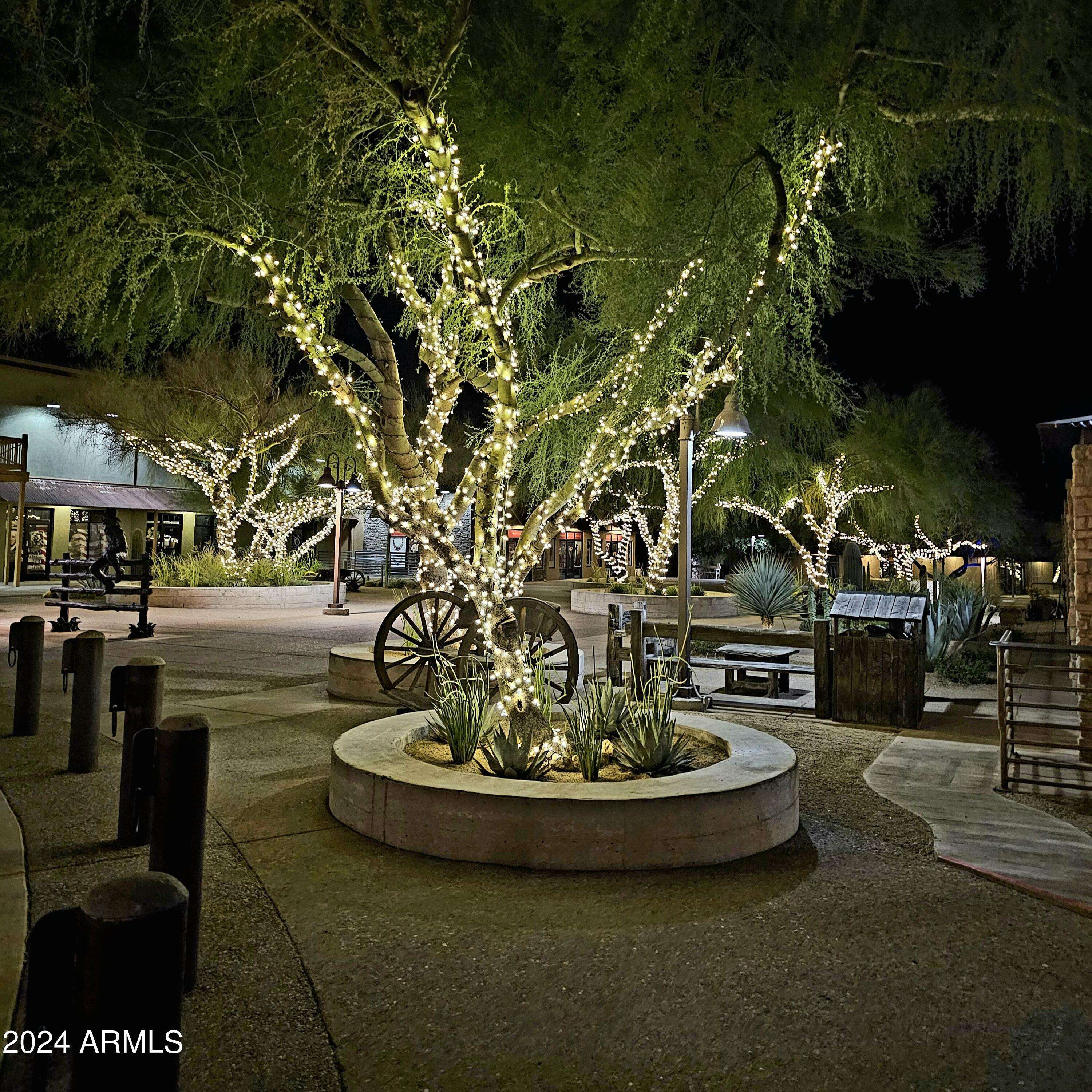 Cave Creek, AZ 85331