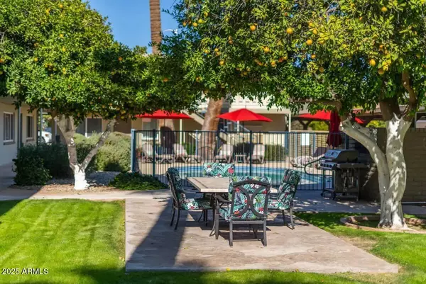 Scottsdale, AZ 85251,6906 E 4TH Street #10