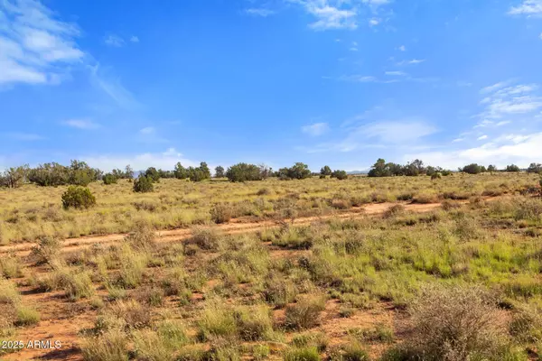 Williams, AZ 86046,871 N NORTHLAND Road #12