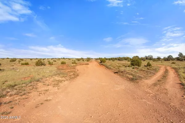 Williams, AZ 86046,871 N NORTHLAND Road #12