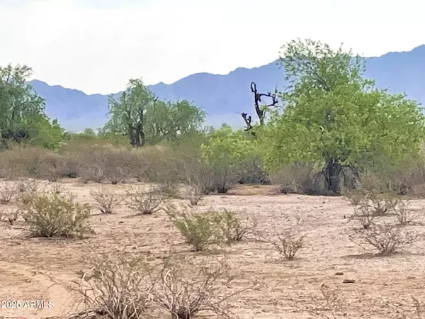 Buckeye, AZ 85326,0 S 193rd (South lot) Avenue #-