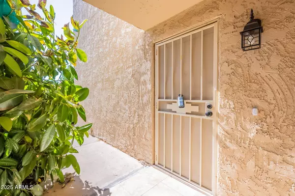 Scottsdale, AZ 85258,8649 E ROYAL PALM Road #113