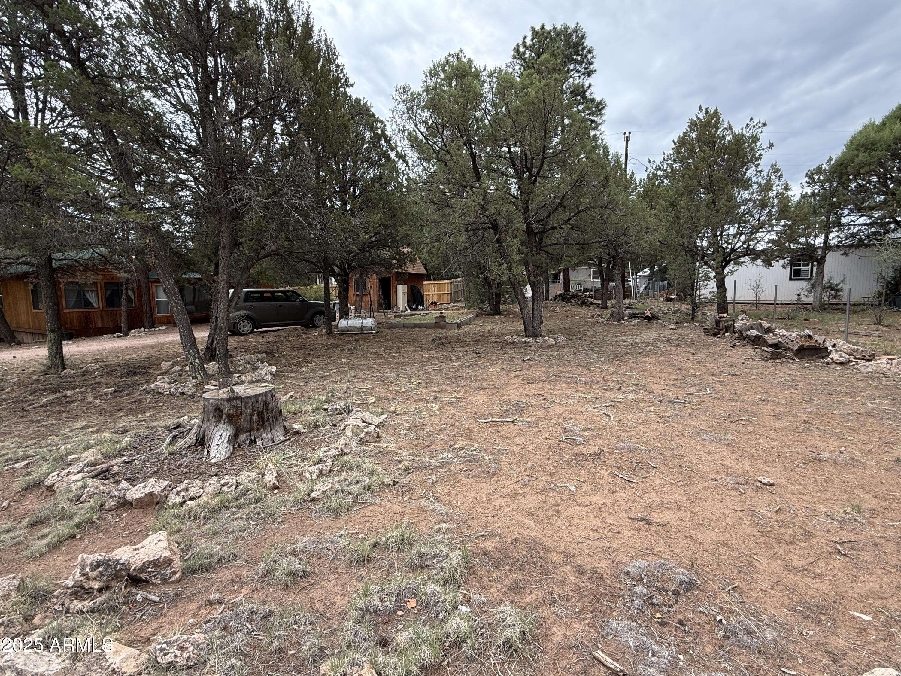 Overgaard, AZ 85933,2181 HASHKNIFE Drive #41
