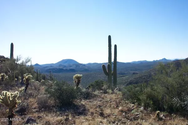 Morristown, AZ 85342,0 N N LAKE PLEASANT/COLUMBIA#B Road N #65-B