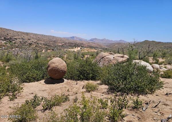 Globe, AZ 85501,S El Capitan Drive #-