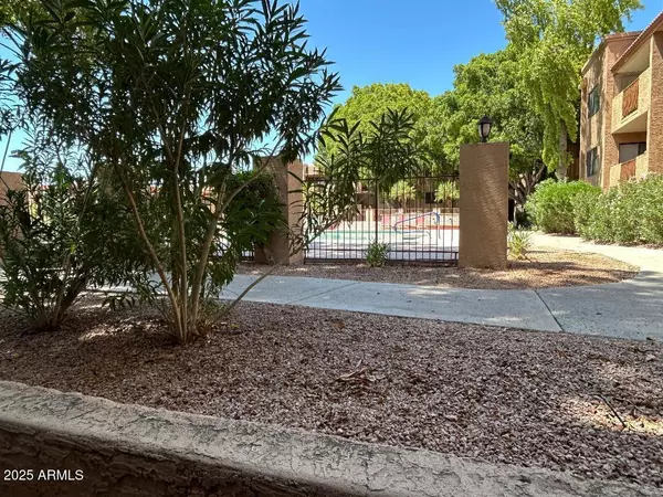 Scottsdale, AZ 85251,3031 N Civic Center PLZ -- #145