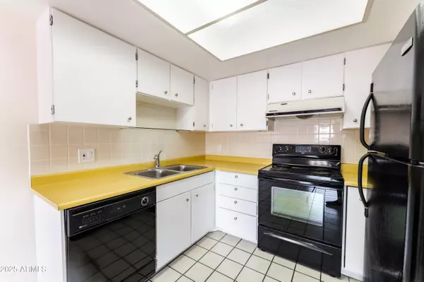 Scottsdale, AZ 85251,7930 E CAMELBACK Road #502